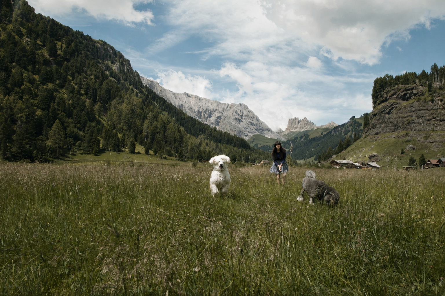Raffaella in un prato di montagna mentre gioca con i suoi cani