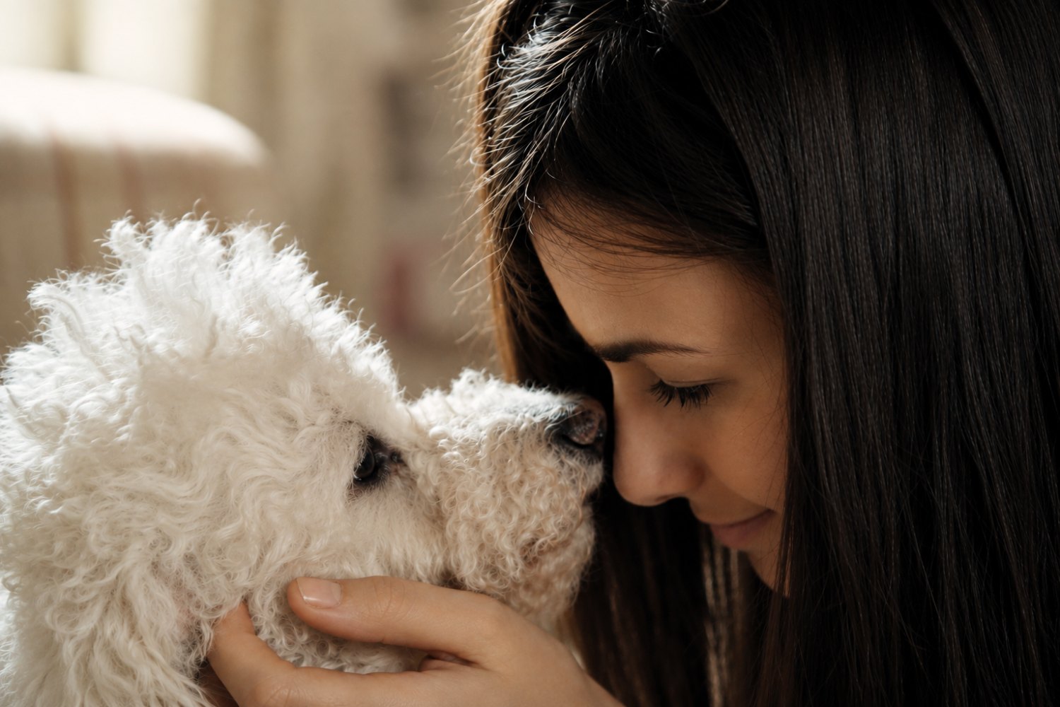 Raffaella al lavoro con un cane